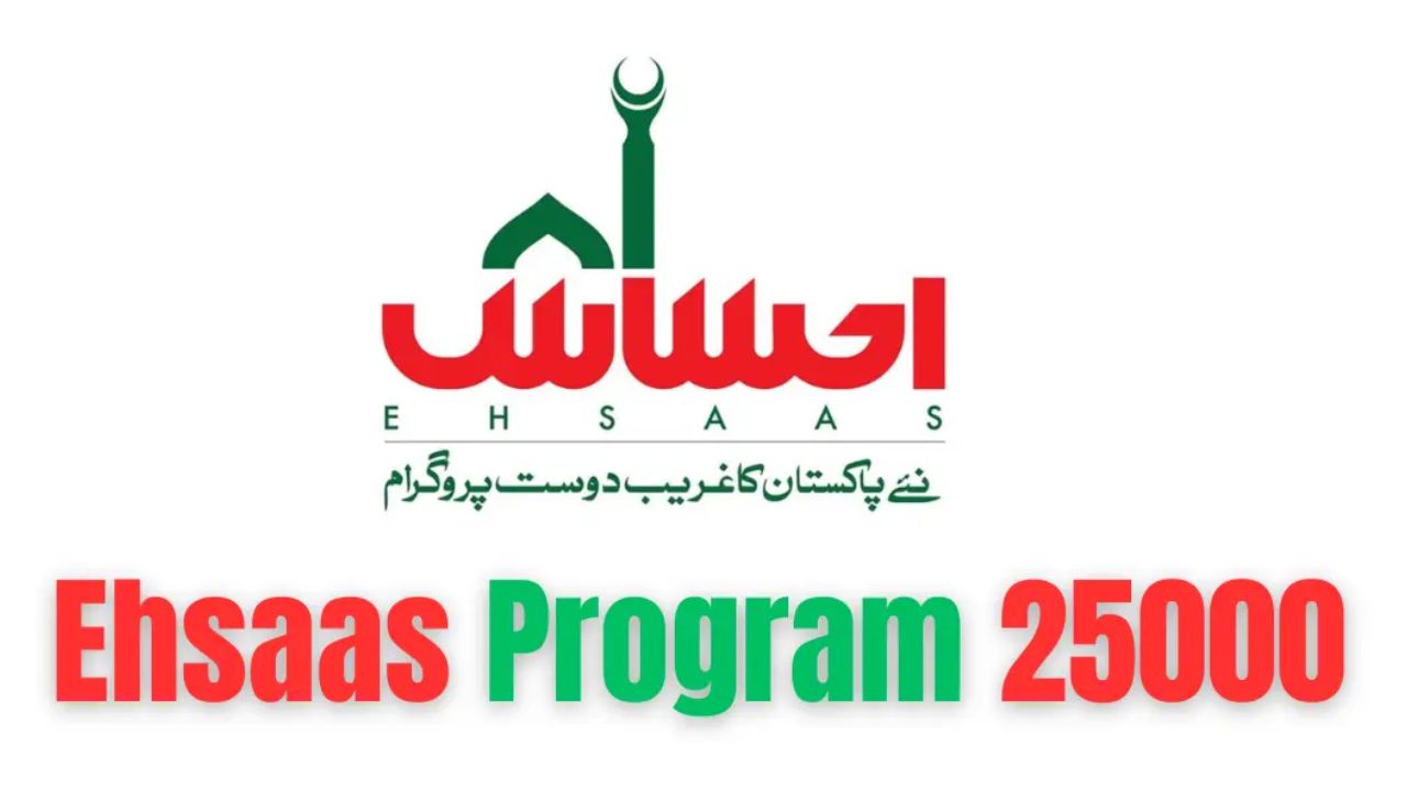 Ehsaas program cnic check online 25000